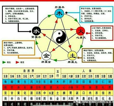 金木水火土 人|金木水火土命查询表